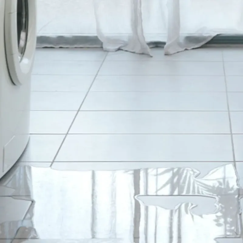 Appliance Leak Cleanup in McDonough County, IL