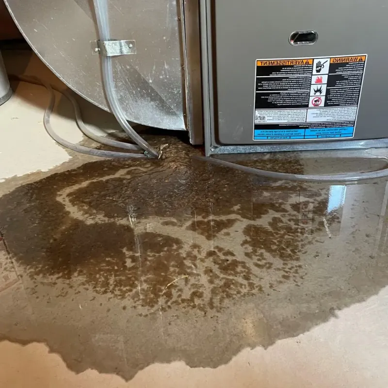 Pipe Burst and Leak Restoration in McDonough County, IL