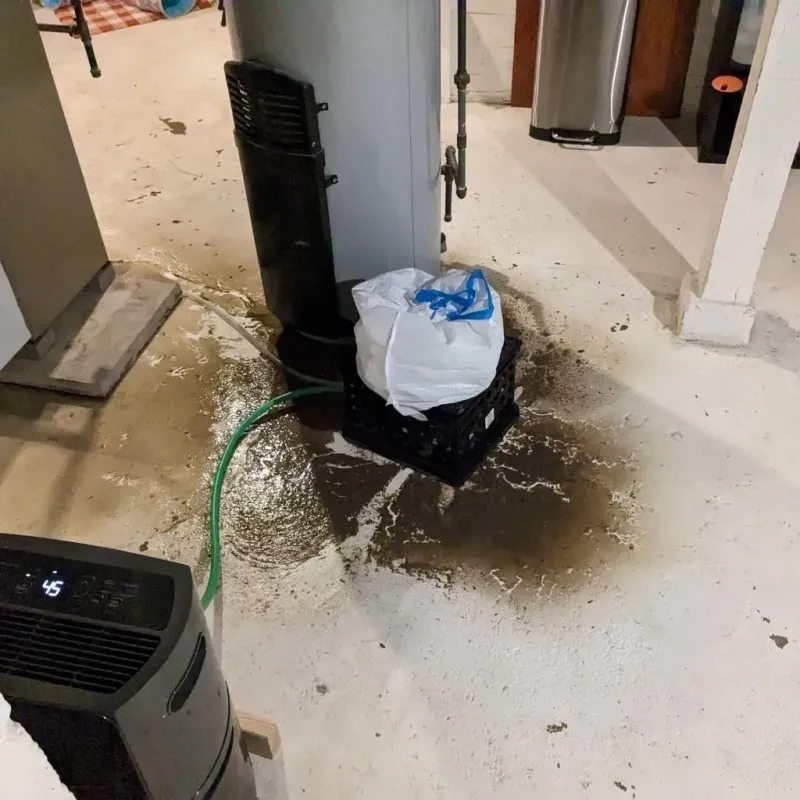 Sewage Backup Cleanup Service in McDonough County, IL